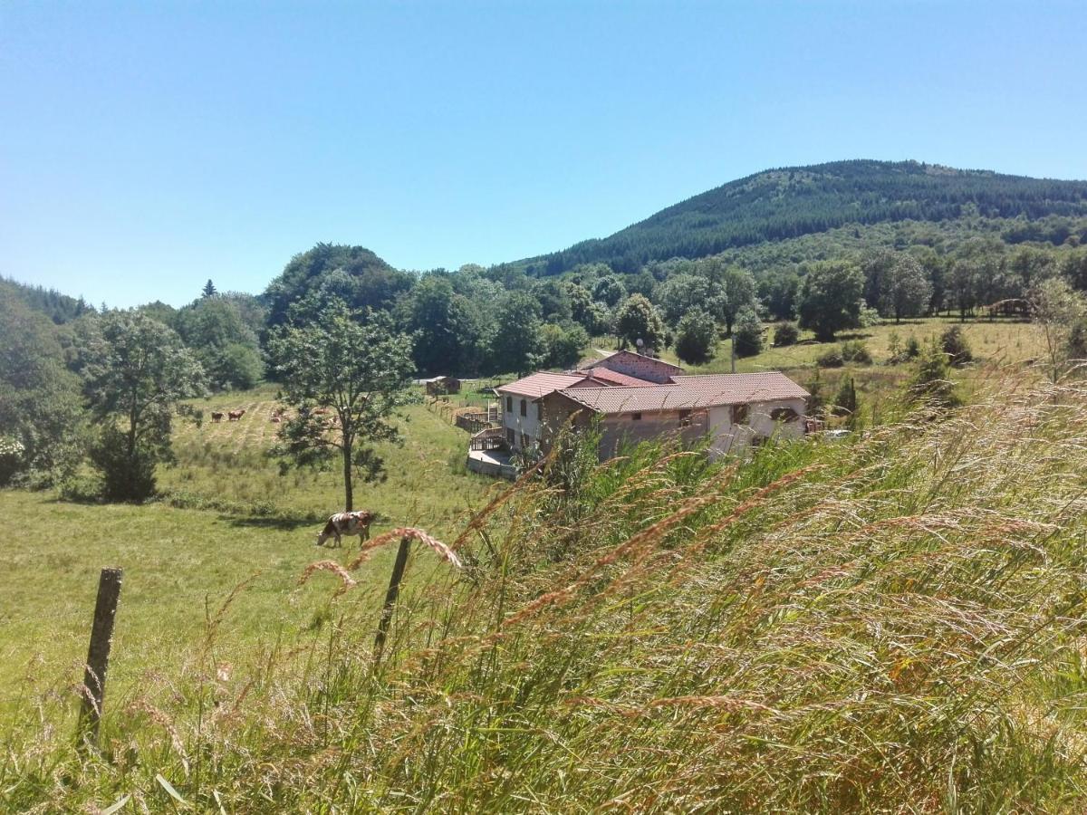 Le Moulin De La Fortie, Maison D'Hotes Viscomtat Exterior foto